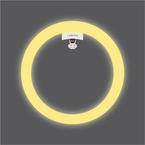 LAMPTAN หลอดไฟกลม LED Circular Set แสงขาว